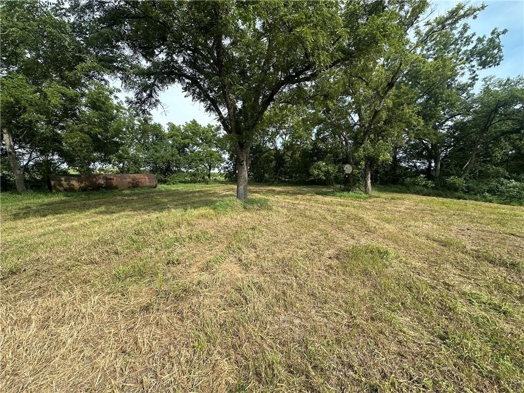 Picture 20