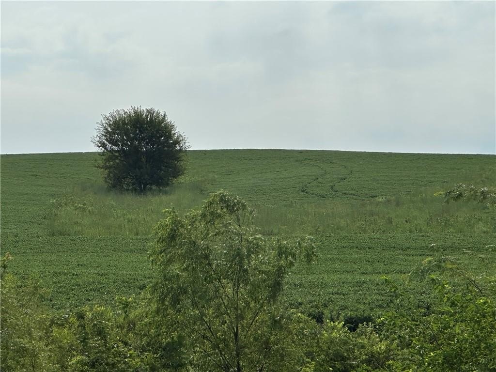 Picture 19
