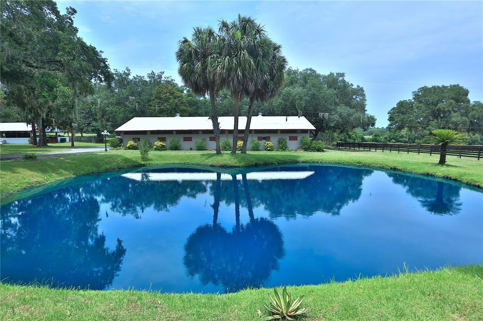 Equestrian Estate Near World Center