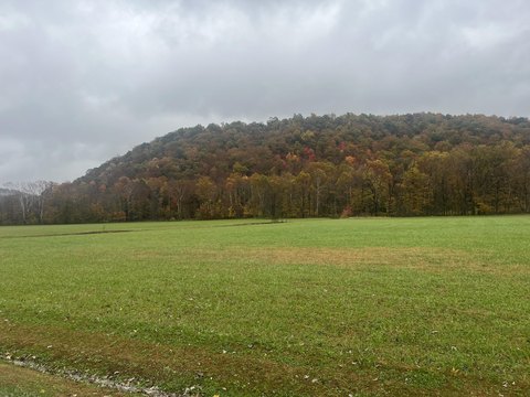Land Near Cave Run Lake