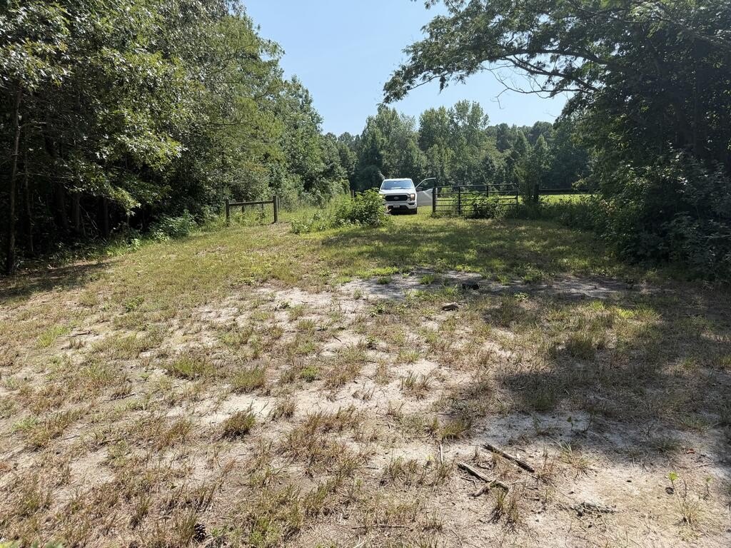 Picture 3