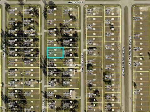 Commercial Lot in Cape Coral