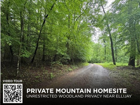 Vacant Lot - Ellijay, GA