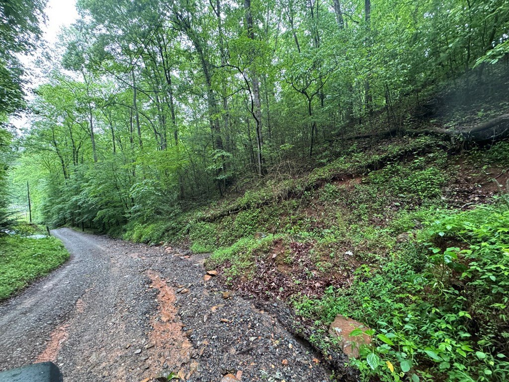 Picture 8