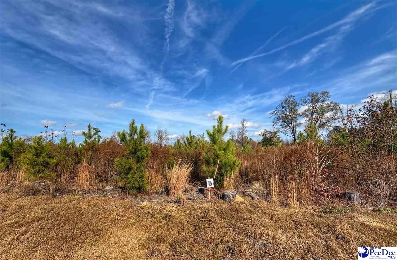 Residential Lot in Latta, SC