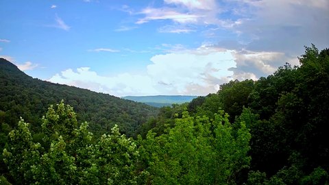 29.56 Acres in South Pittsburg