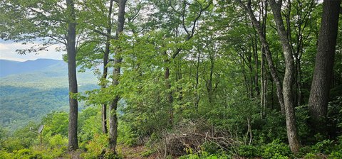 View Lot in Cashiers, NC