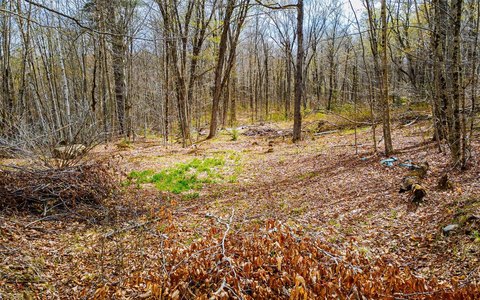 Wooded Residential Lot with Pond Access