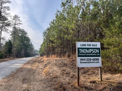 Recreational Hunting Tract with Road Access