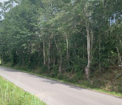 Unimproved - Ellisville, MS