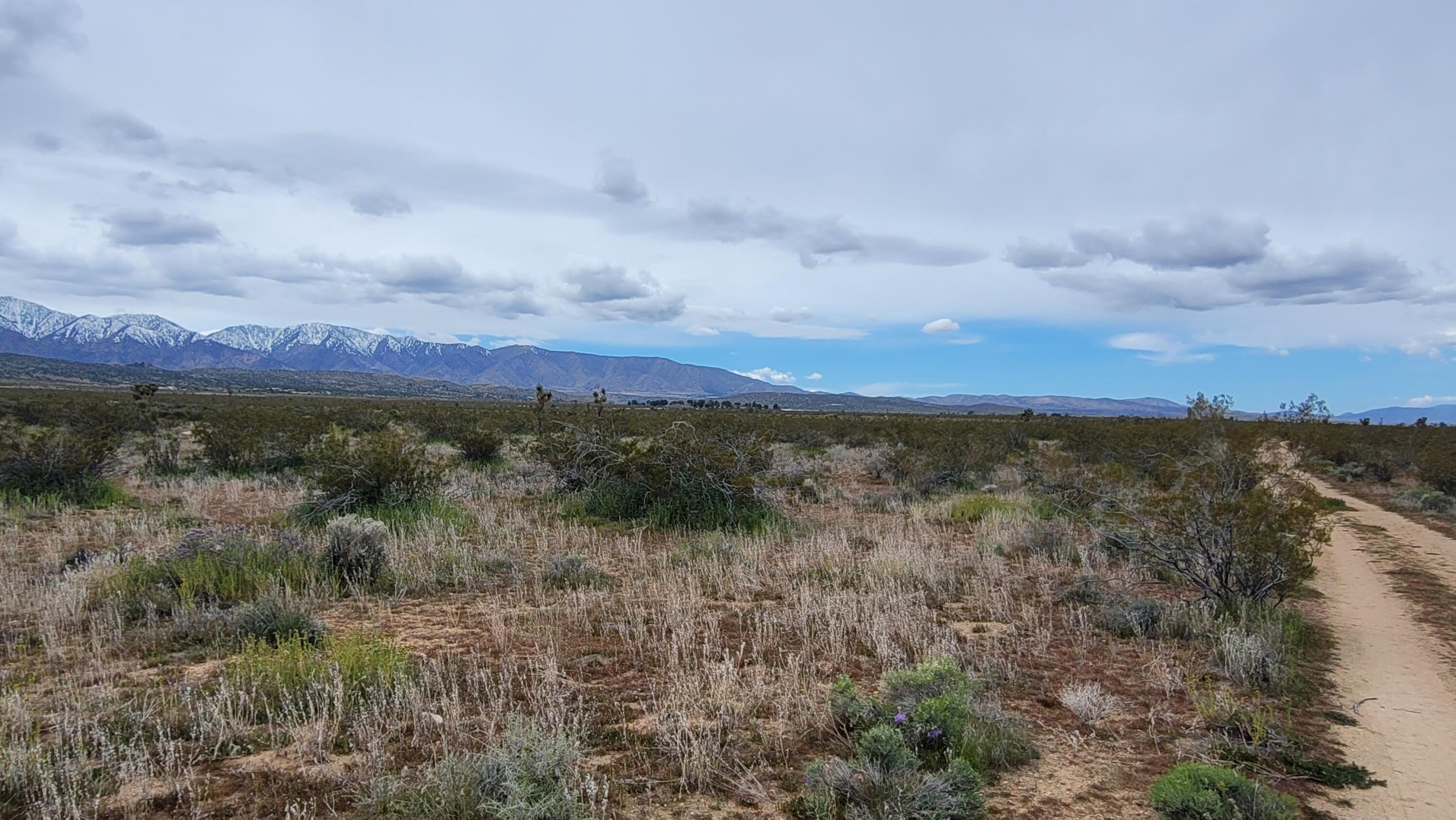 Palmdale Vacant Land Opportunity