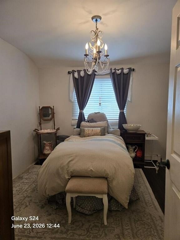 Picture 19