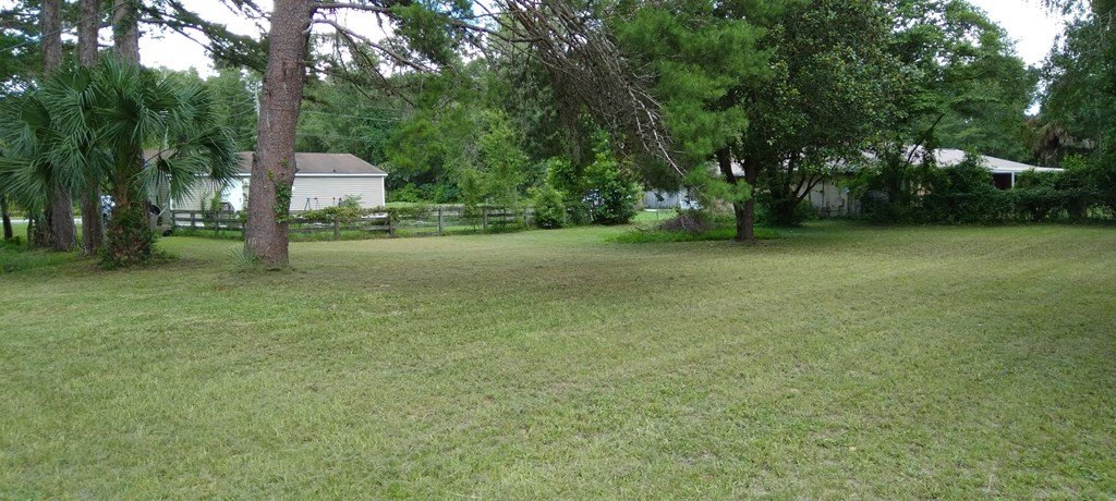 Picture 17