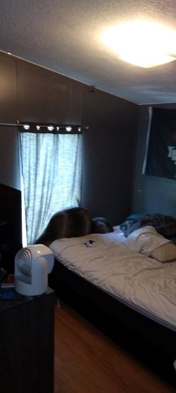Picture 24