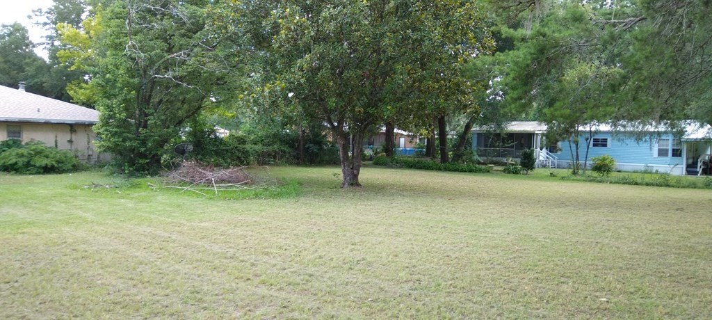 Picture 18