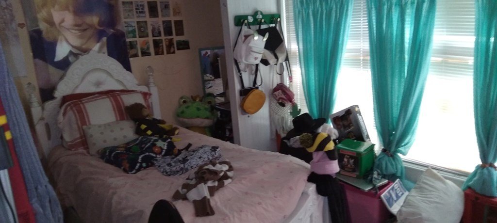 Picture 12