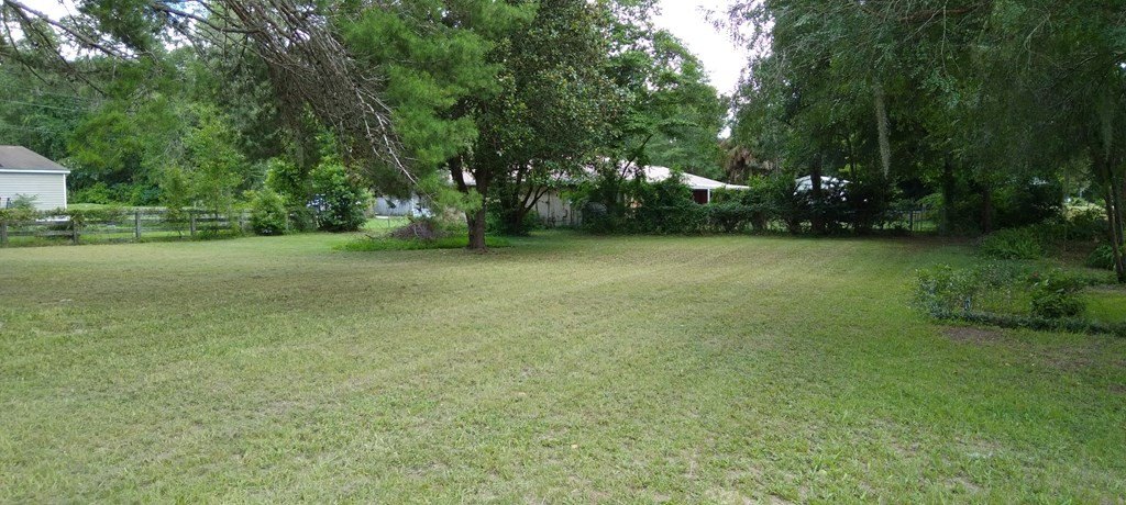 Picture 16