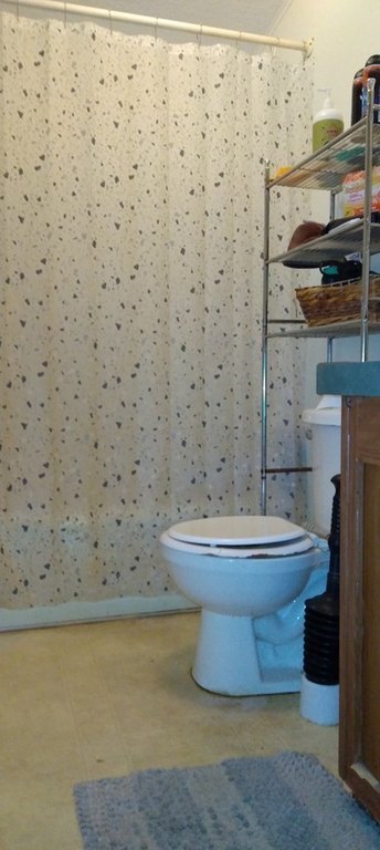 Picture 23