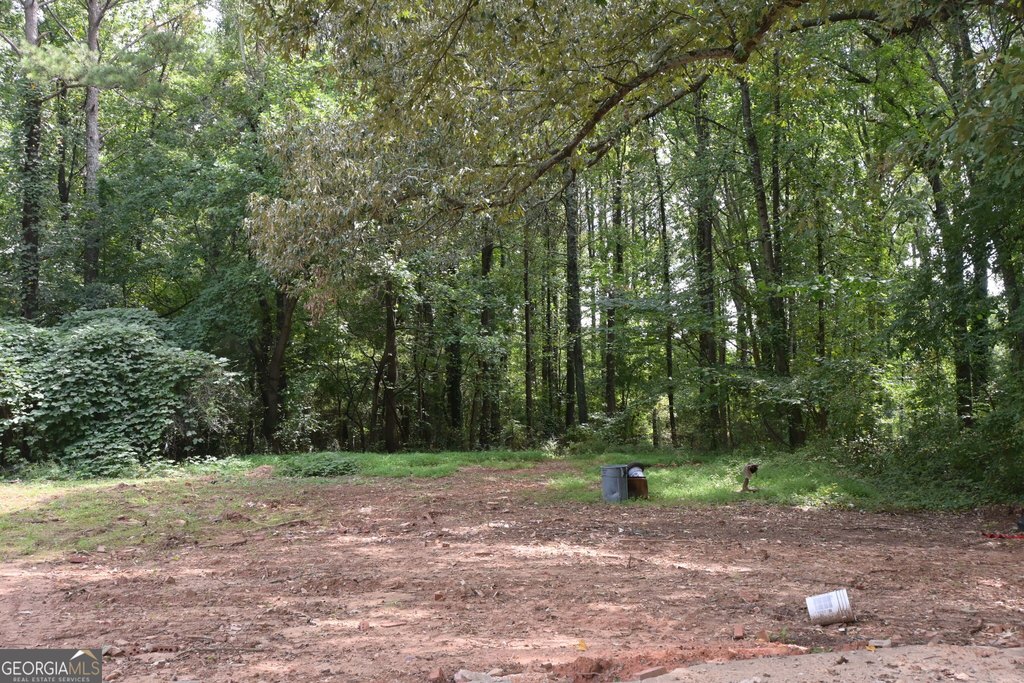 Picture 6