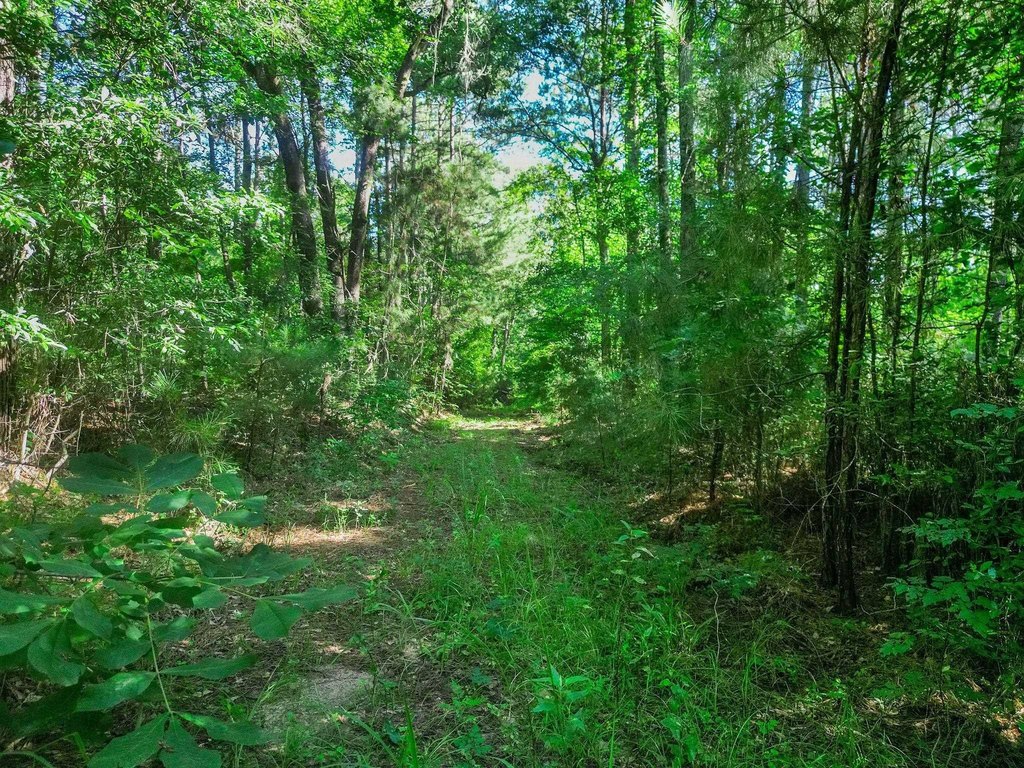 Picture 3