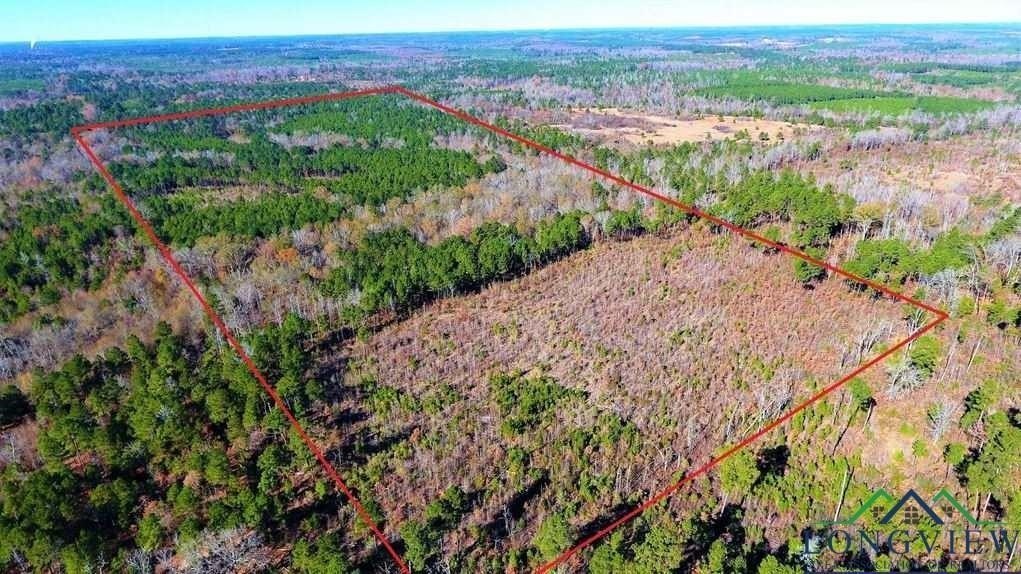 Prime Hunting & Timberland Tract