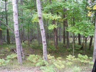 Canadian Lakes Wooded Lot