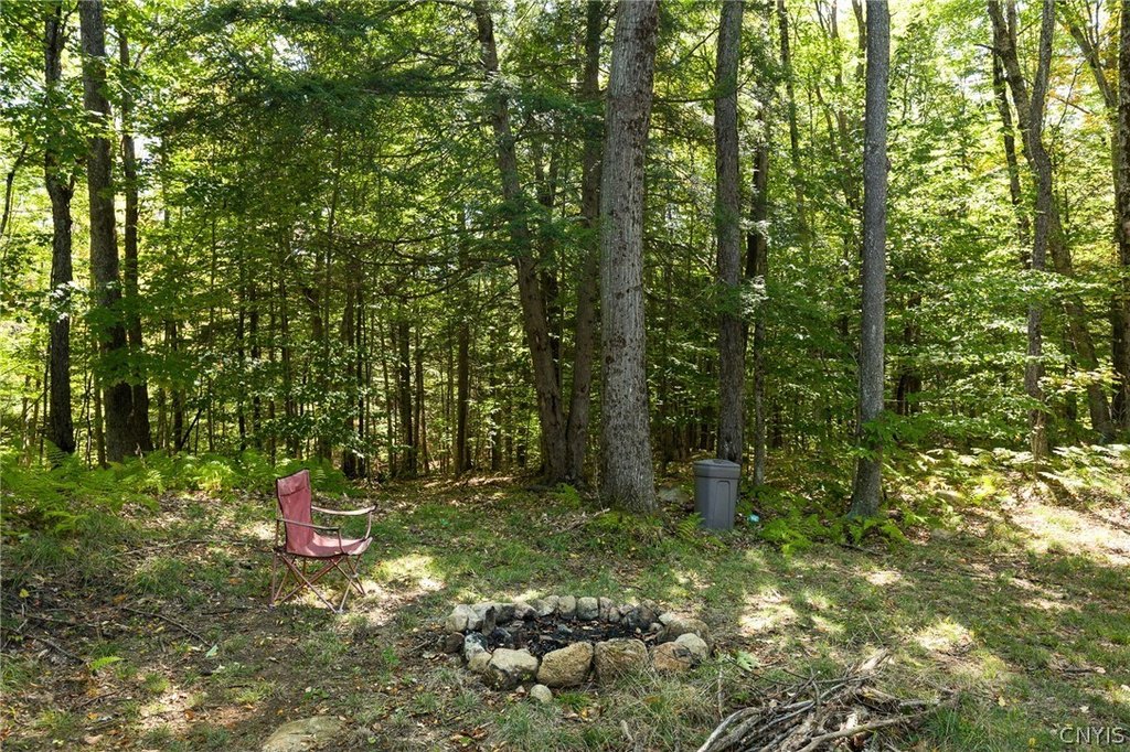 Picture 23