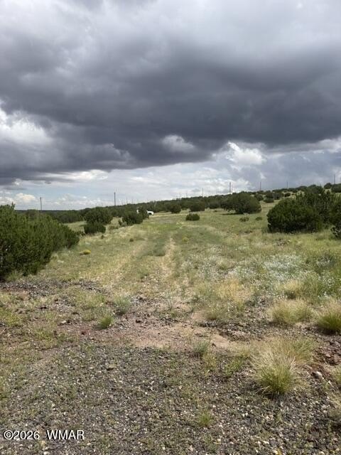 Picture 8