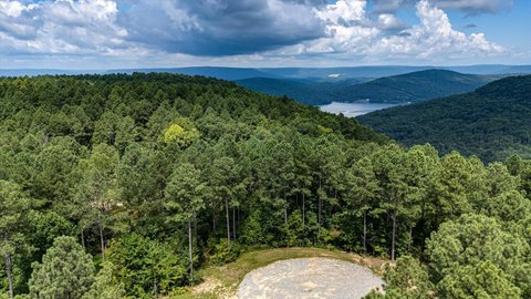 Bluff Lot with Pond Frontage