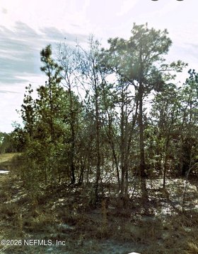 Land, Williston, FL