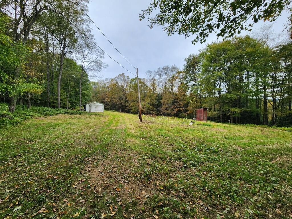 Picture 6
