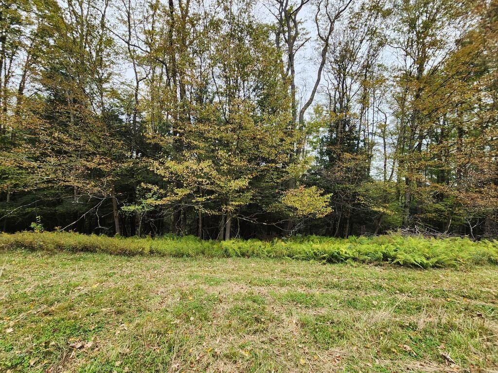 Picture 18