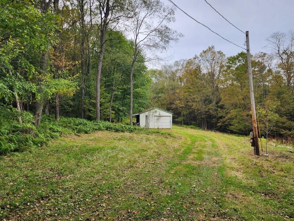 Picture 22