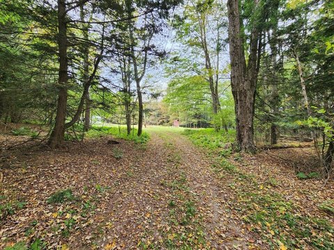 Land, Coudersport, PA