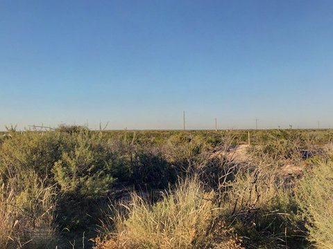 10 Acres in Reeves County