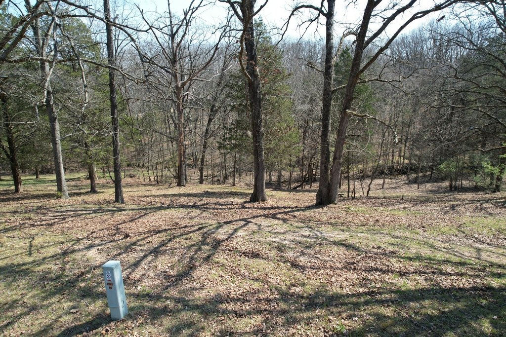 Picture 16