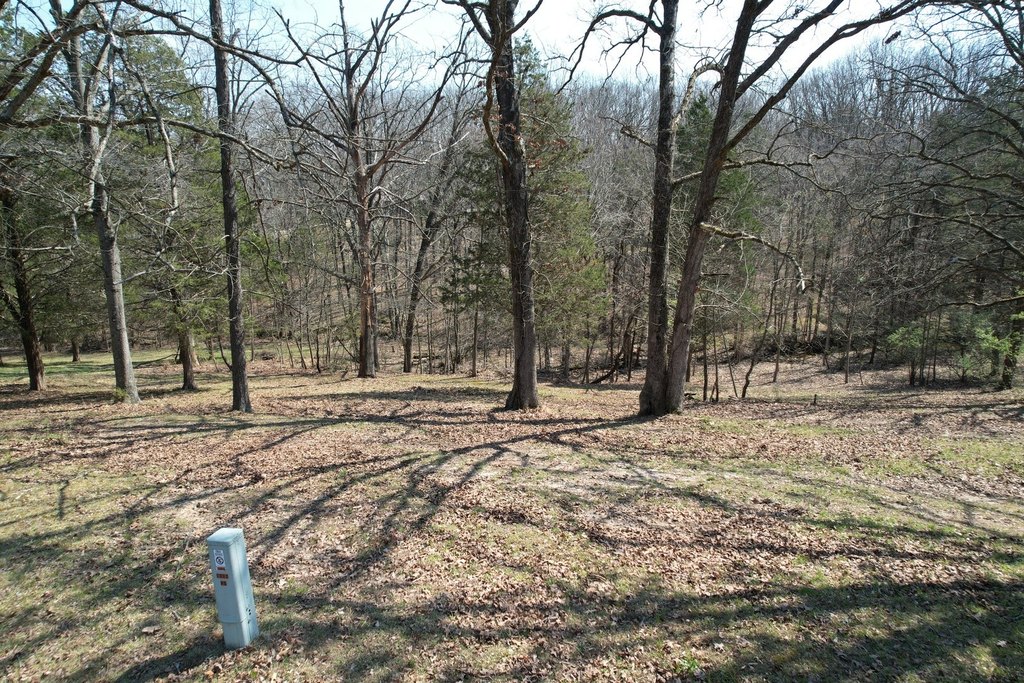 Picture 15