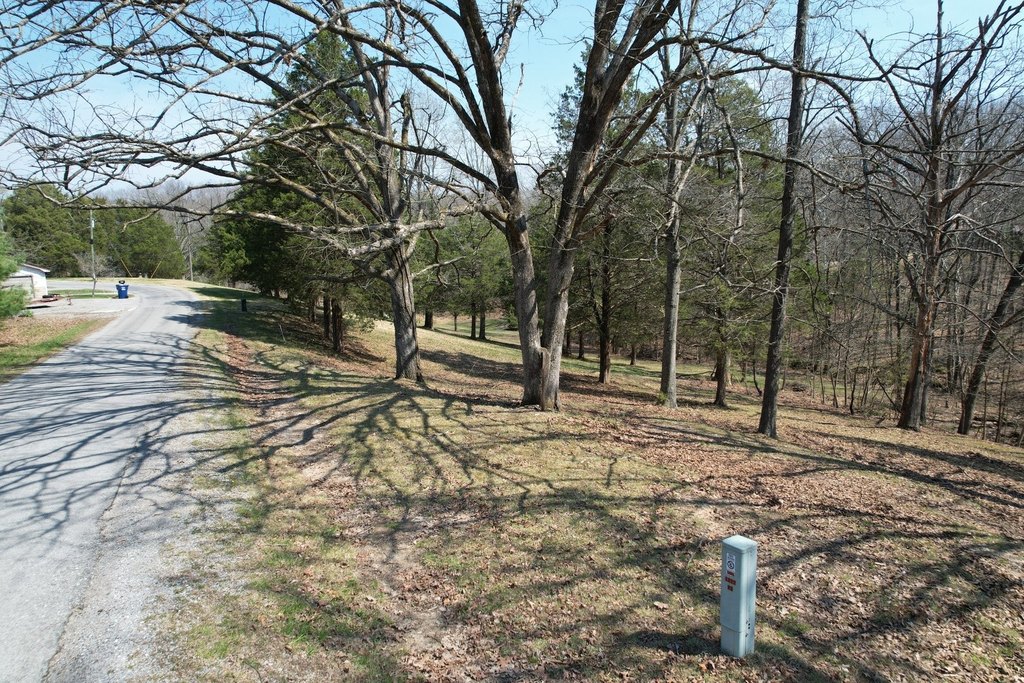 Picture 17