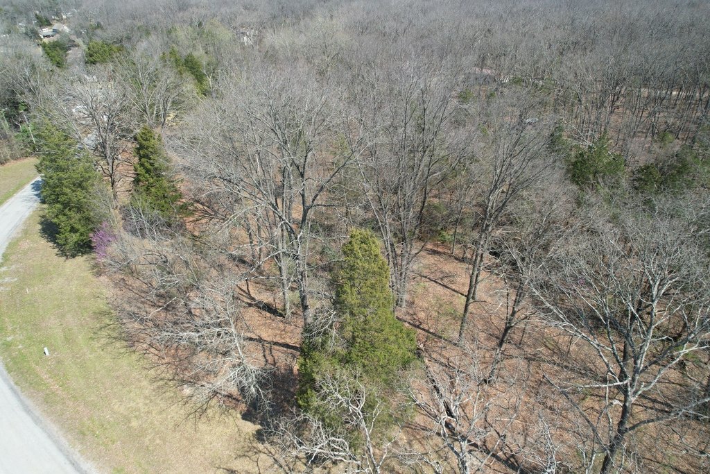 Picture 5