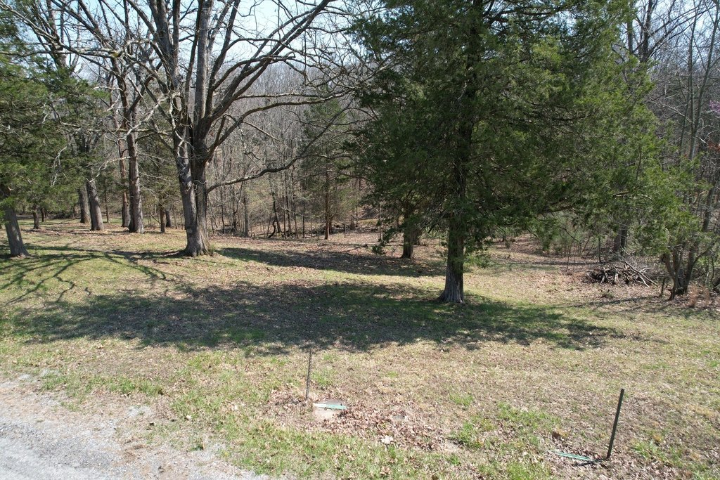 Picture 14