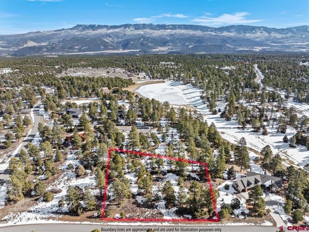 Ridgway, CO Land For Sale