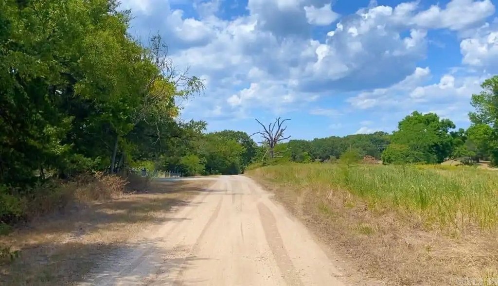 Picture 21