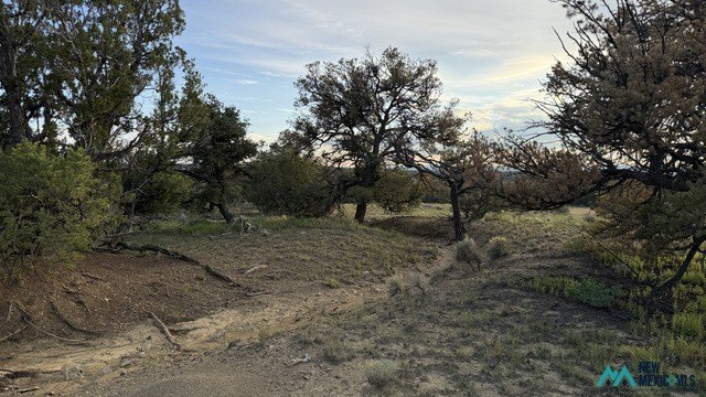 Picture 15