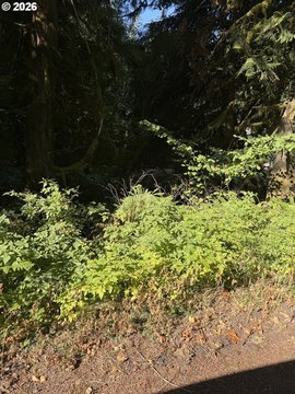 Land, Welches, OR