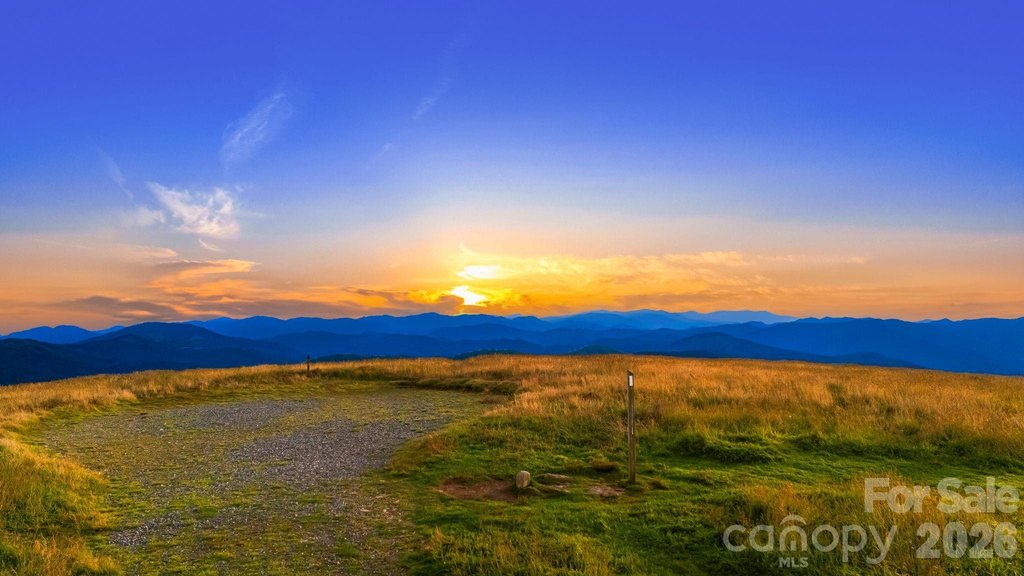 Picture 31