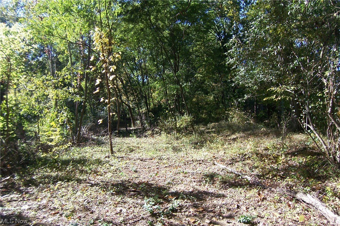 North Canton Land Opportunity