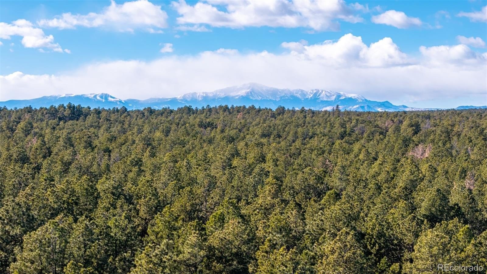 Expansive Black Forest Vacant Parcel