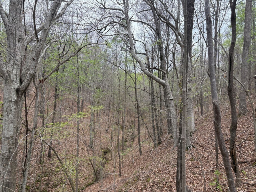 Picture 18