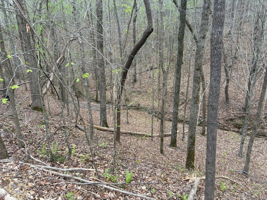 Picture 4