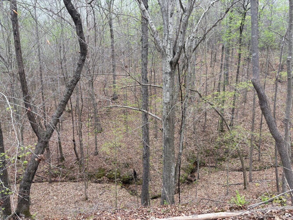 Picture 17